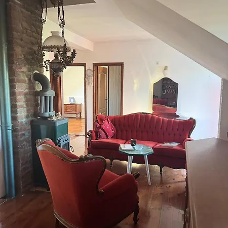 公寓 Creative Attic With Terrace & Garden -podgorica 波德戈里察