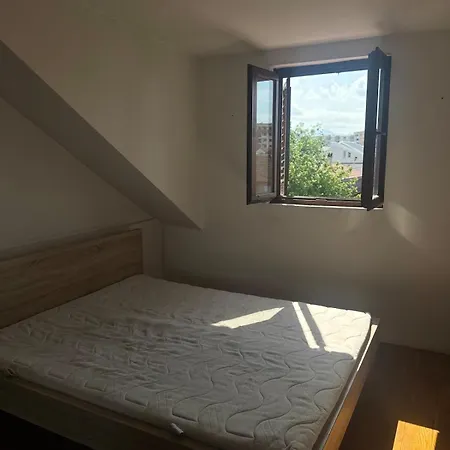 公寓 Creative Attic With Terrace & Garden -podgorica