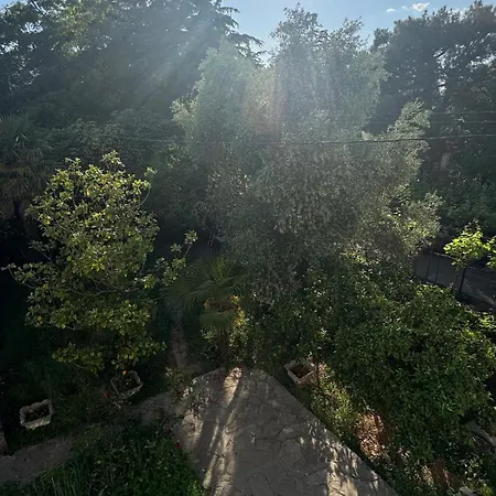 Creative Attic With Terrace & Garden -podgorica