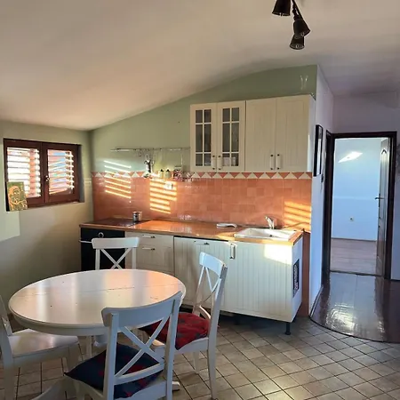 Creative Attic With Terrace & Garden -podgorica * 波德戈里察