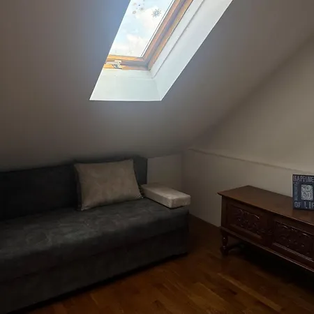 Creative Attic With Terrace & Garden -podgorica