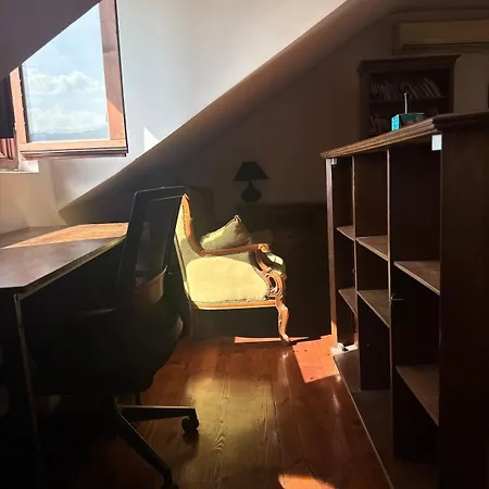 Creative Attic With Terrace & Garden -podgorica * 波德戈里察