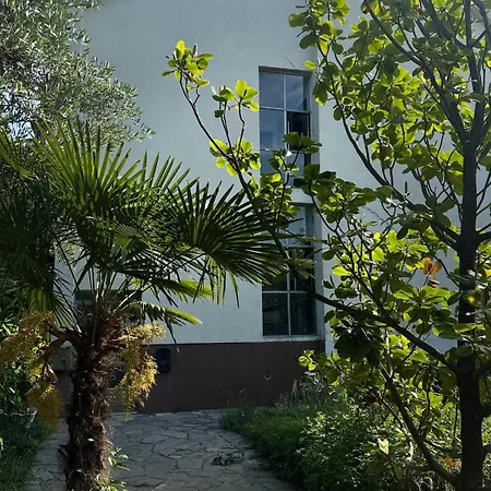 Creative Attic With Terrace & Garden -podgorica 波德戈里察